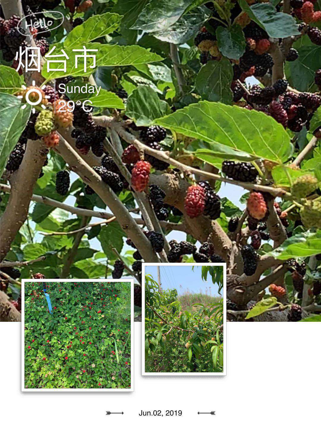 微信圖片_2019060611120325